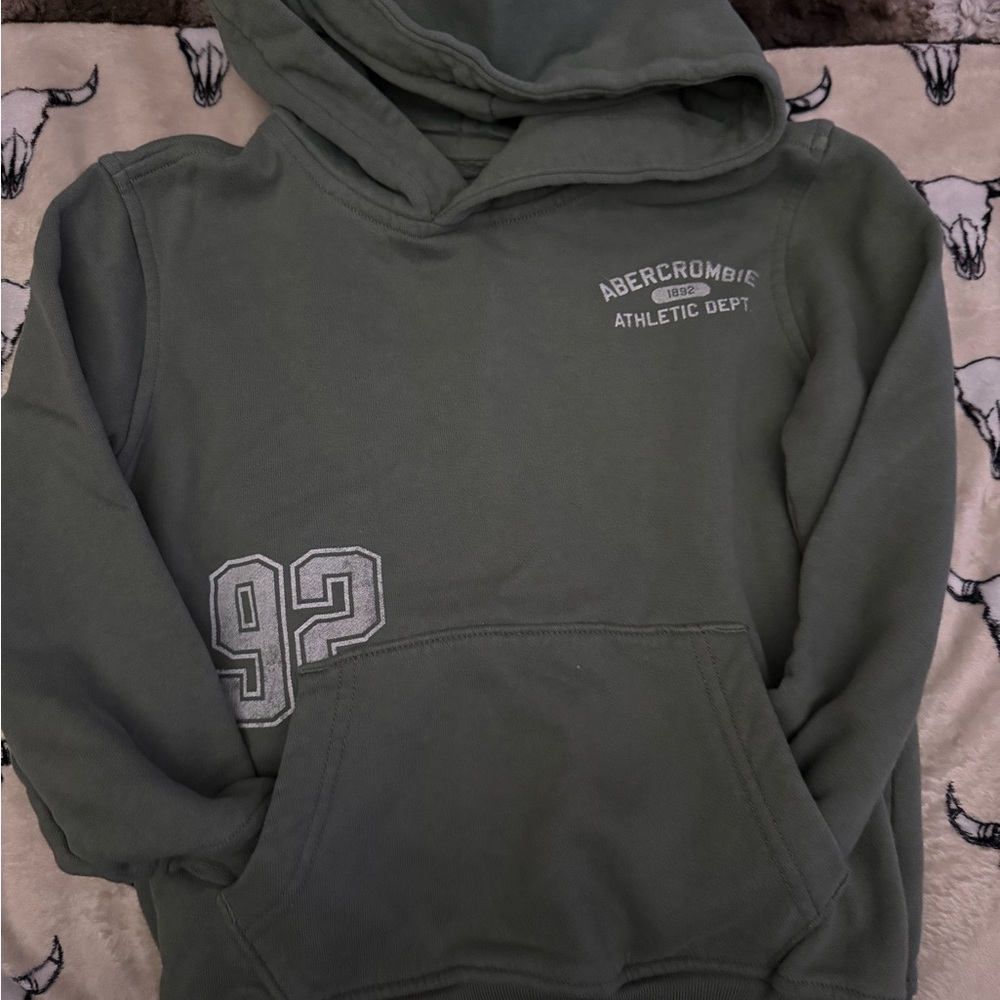 Abercrombie Kids Sage Green Hoodie